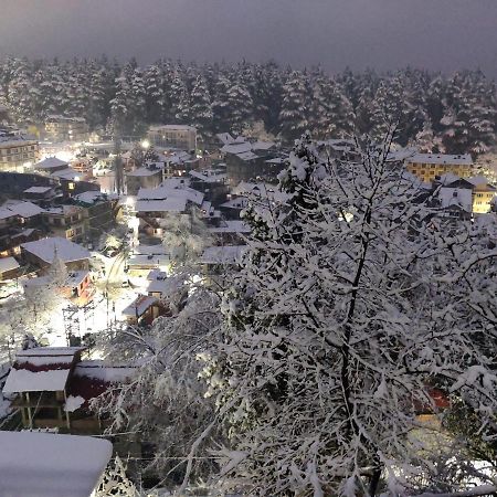 Ambika Bliss Bed & Breakfast Manali  Bagian luar foto
